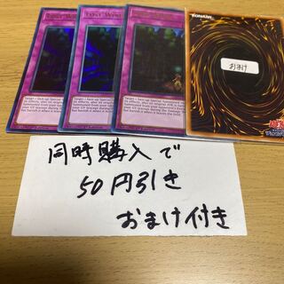 Lost Wind English 23007