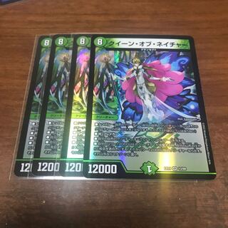 クイーン・オブ・ネイチャー VR 13/68