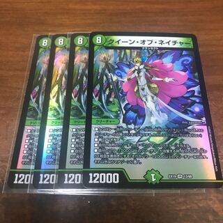 クイーン・オブ・ネイチャー VR 13/68