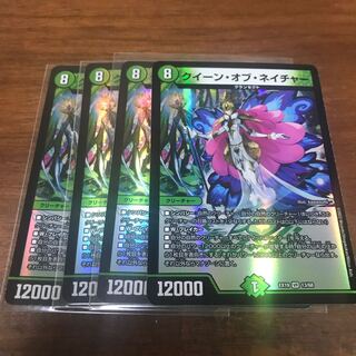 クイーン・オブ・ネイチャー VR 13/68