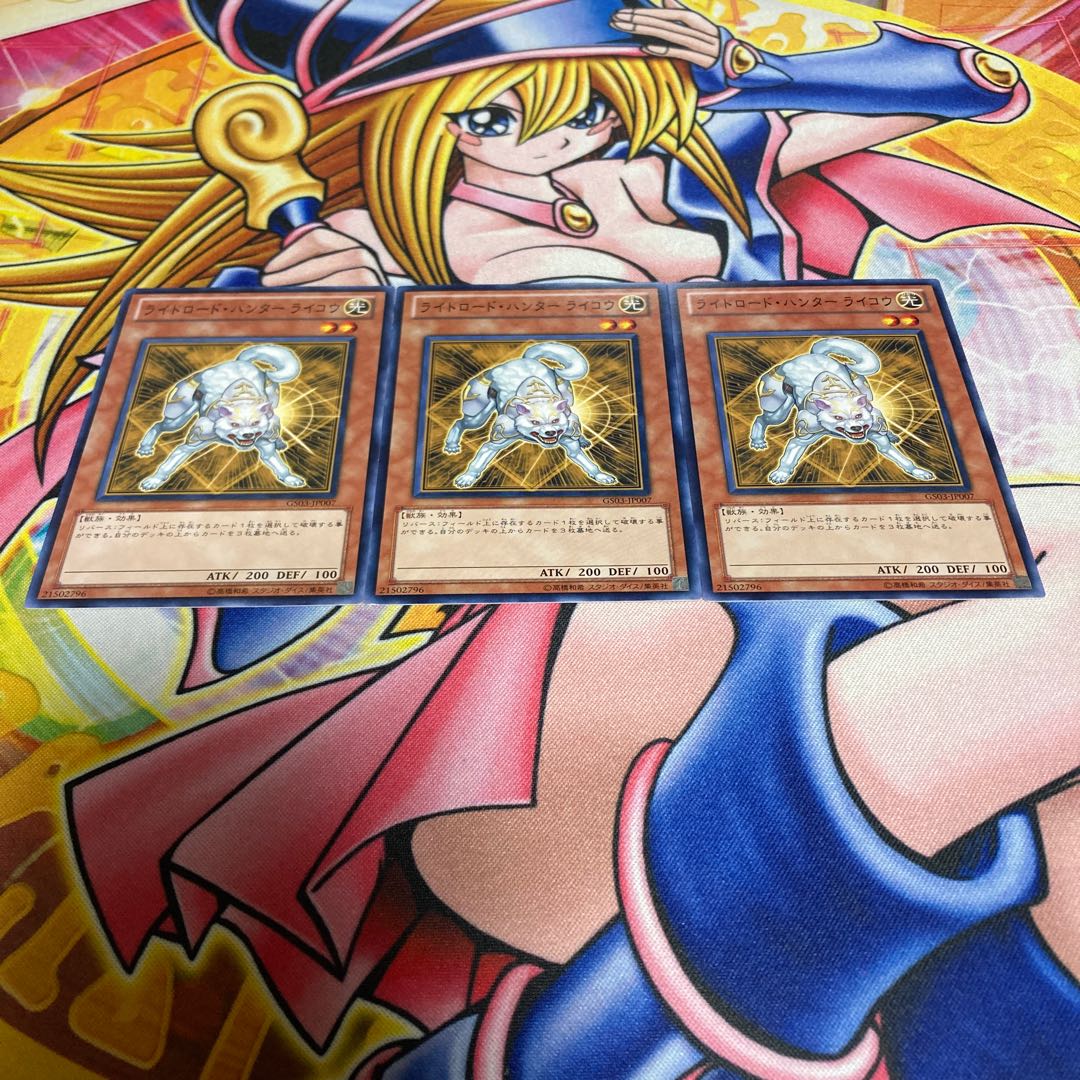 Light Road Hunter Raikou Normal JP017