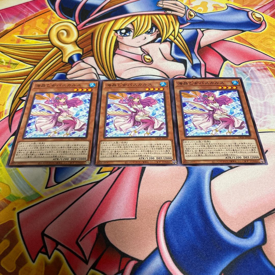 Marincess Pascalus Normal JP039