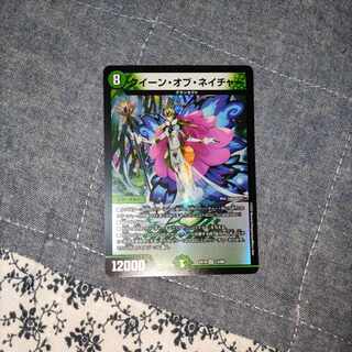 クイーン・オブ・ネイチャー VR 13/68