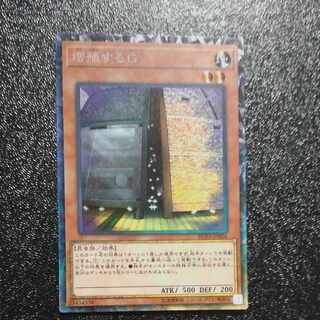 Maxx "C" Collector's Rare JP004 [Mokurindo].