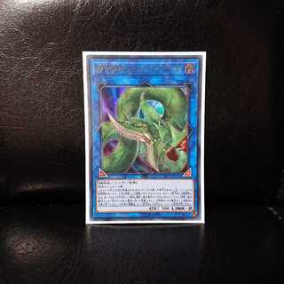 遊戯王 アナコンダ ウルトラ1枚