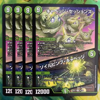 キャベッジ・セッションズ｜ソイルピンプ・キャベッジ R 52/130