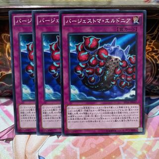 No.1314 P屋　バージェストマ・エルドニア 【ノー】