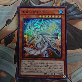 Starry Night, Starry Dragon