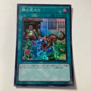 隣の芝刈り スーパーレア JP041 $47