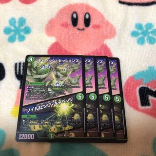 キャベッジ・セッションズ｜ソイルピンプ・キャベッジ R 52/130