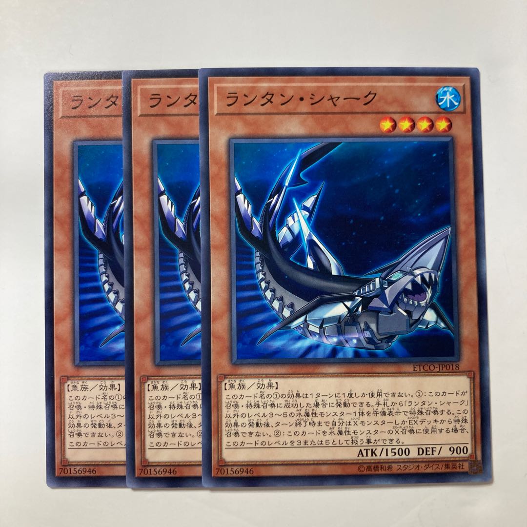 6858 Lantern Shark $73