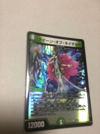 クイーン・オブ・ネイチャー VR 13/68