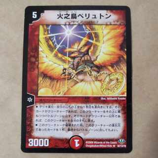 Fire No Tori Peryuton R 30/110/Y8