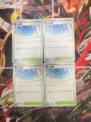 頂への雪道 U 069/070