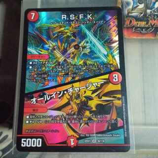 Set Discount R.S.F.K.｜All-in Charger VR 30/130