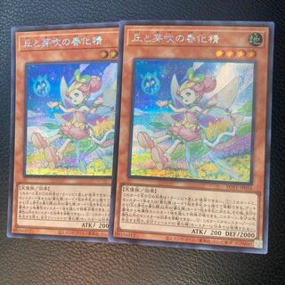 丘と芽吹の春化精 シークレットレア JP016