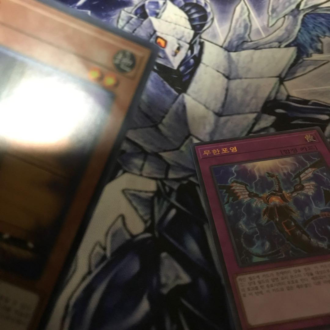 Maxx "C" Infinite Impermanence Korea Set