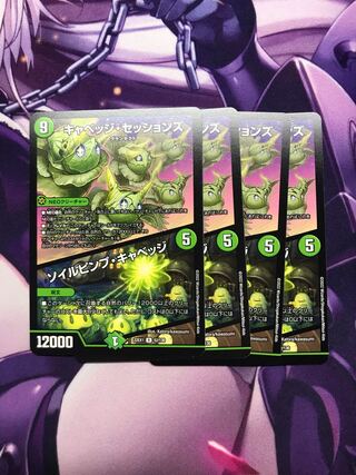 キャベッジ・セッションズ｜ソイルピンプ・キャベッジ R 52/130