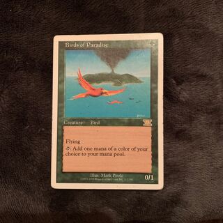 極楽鳥　6版　英