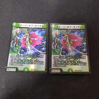 クイーン・オブ・ネイチャー VR 2枚