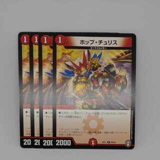 Hop Chu Squirrel C 40/42