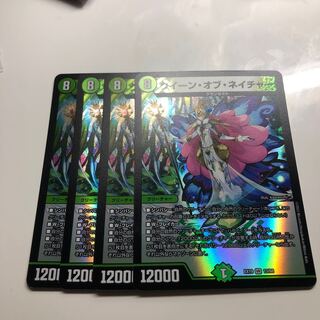 クイーン・オブ・ネイチャー VR 13/68