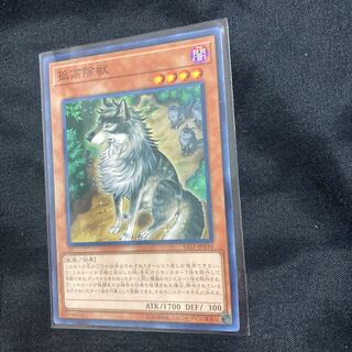 Aloof Lupine Normal rare JP030