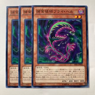 6877 捕食植物フライ・ヘル ノーマル JP006