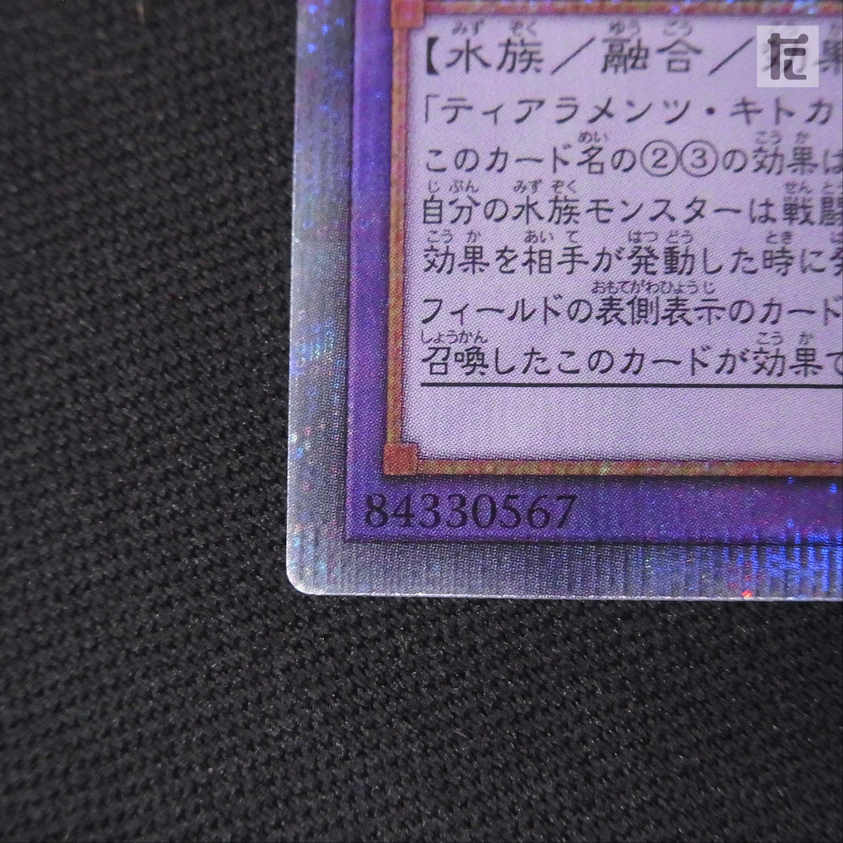 ティアラメンツ・ルルカロス【ニア】プリシク/管理:MY0593