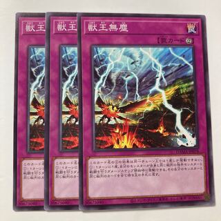 6888 獣王無塵 ノーマル JP078