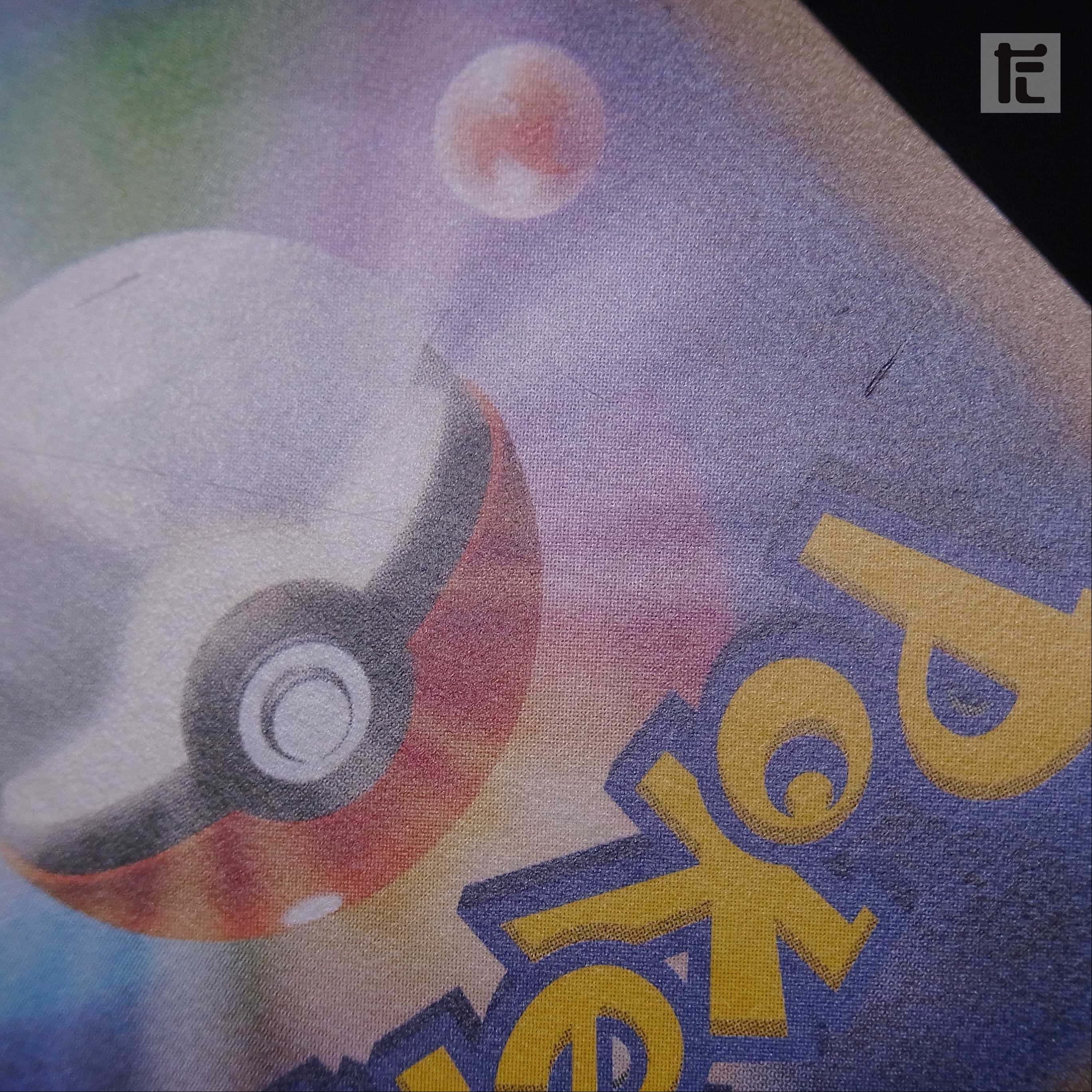 ポンチョを着たピカチュウ【エクセ】プロモ 231/XY-P/管理:▼MP2480