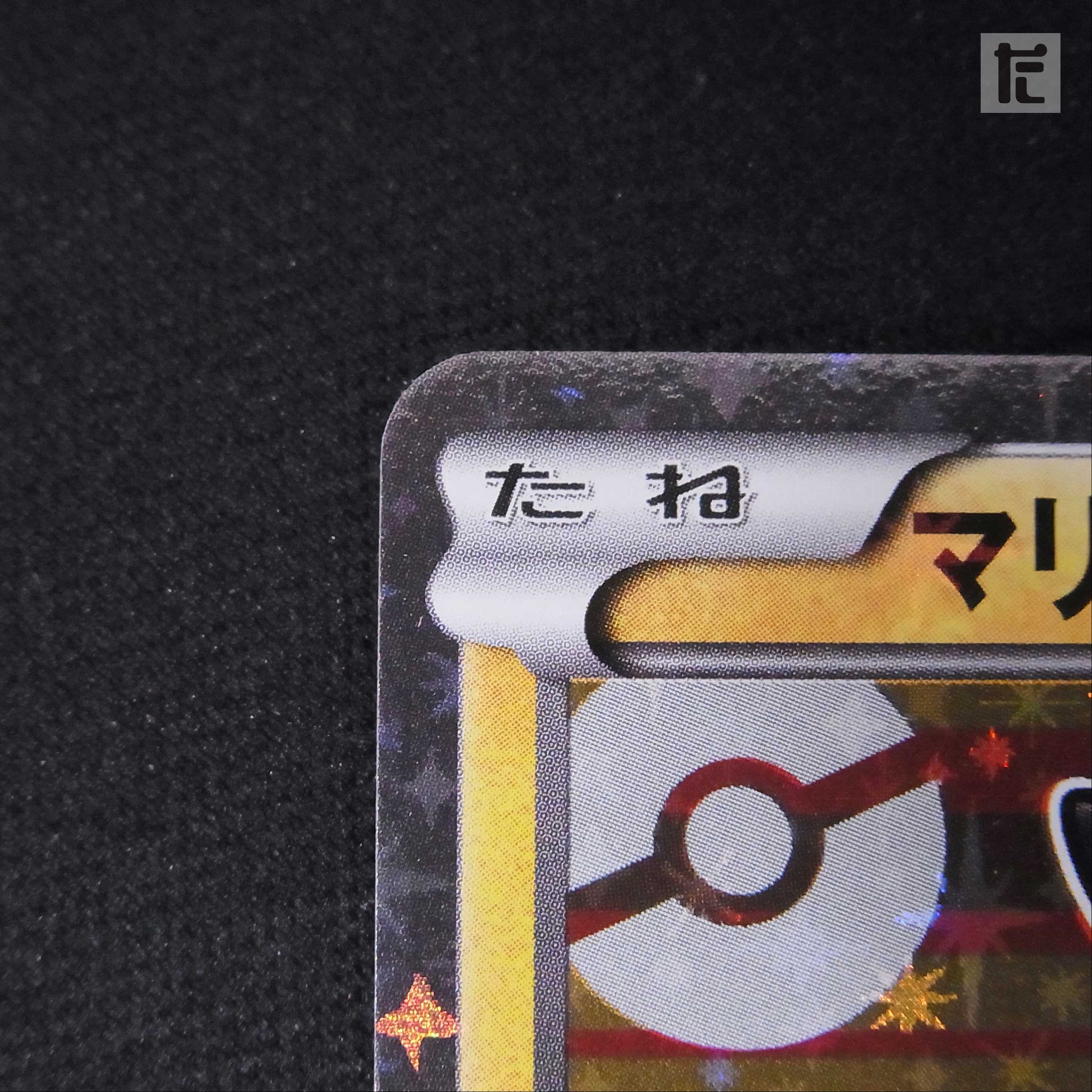 Mario Pikachu [Exe] Promo/Control:▼MP2478 1枚