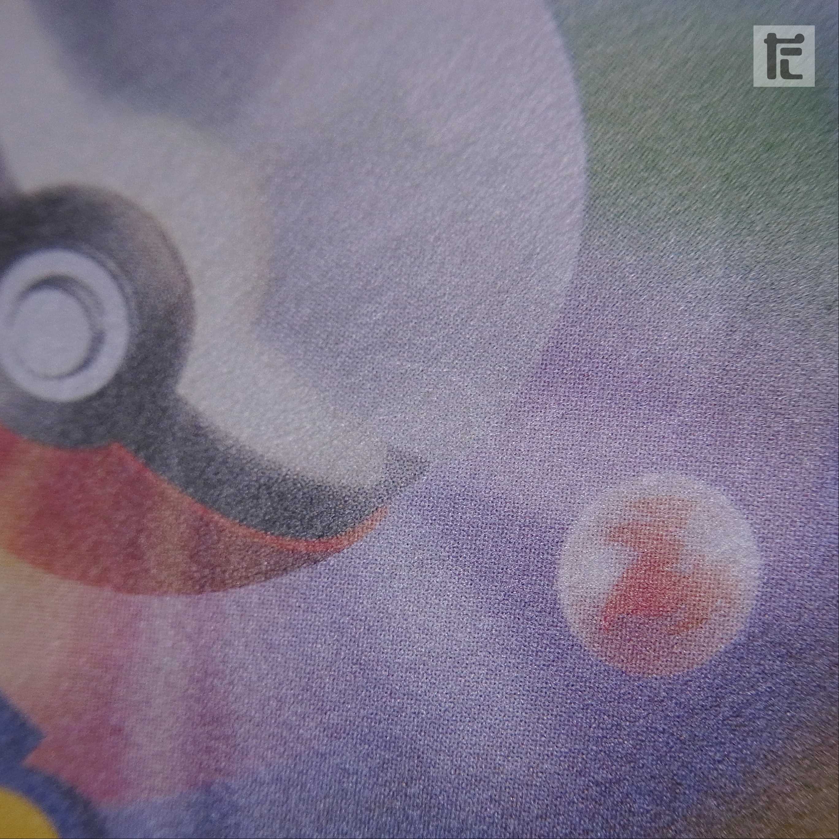 ポンチョを着たピカチュウ【エクセ】プロモ 230/XY-P/管理:▼MP2477