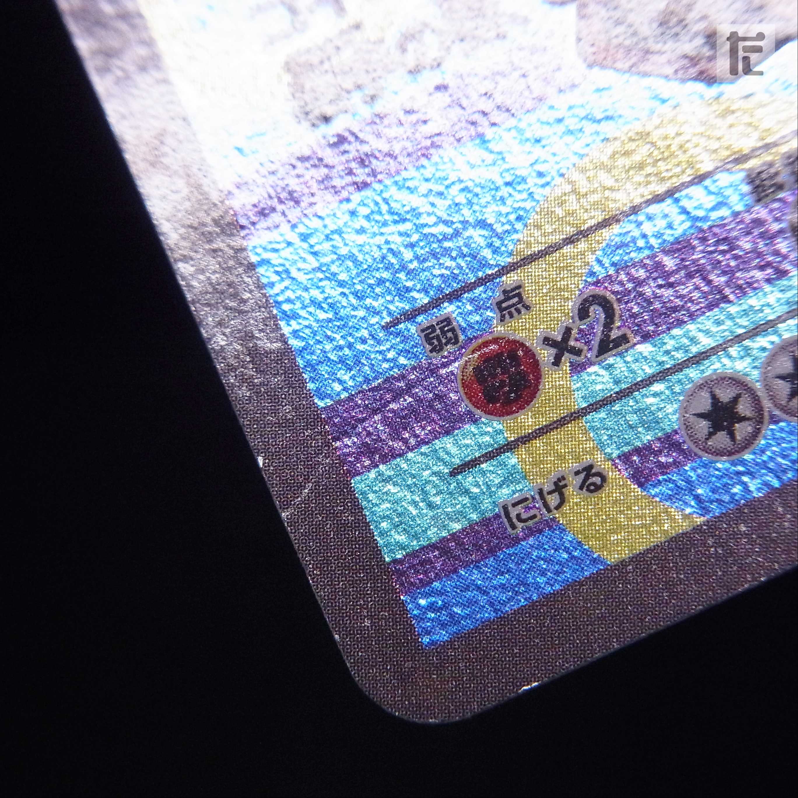 ポンチョを着たピカチュウ【エクセ】プロモ 230/XY-P/管理:▼MP2477