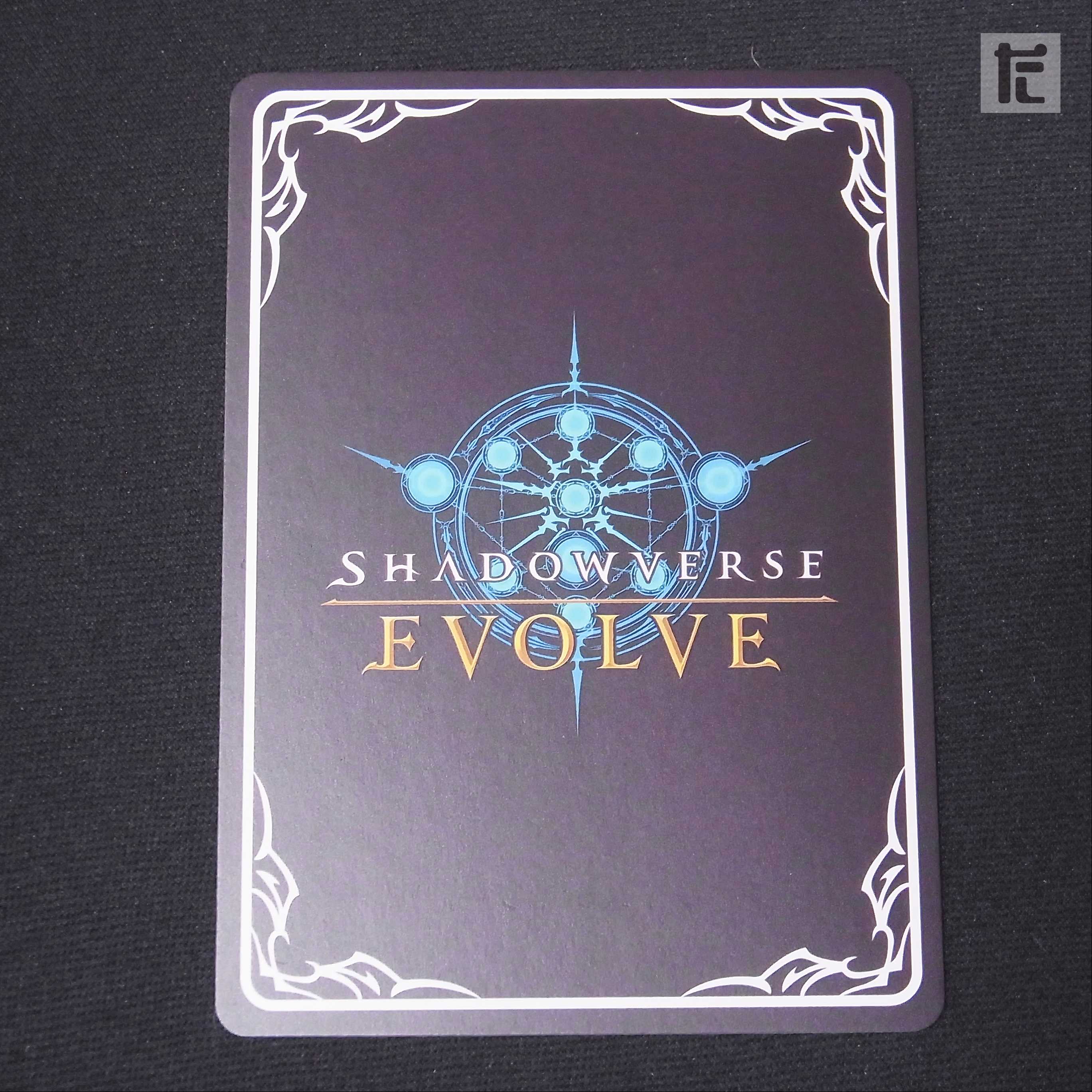 ライスシャワー【ニア】SP/管理:MS0187