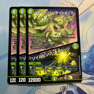 キャベッジ・セッションズ｜ソイルピンプ・キャベッジ 3枚