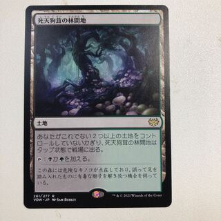 Deathcap Glade