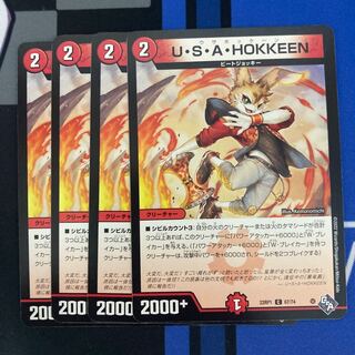 U.S.A. HOKKEEN C 67/74