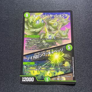 キャベッジ・セッションズ/ソイルピンプ・キャベッジ【R】{22EX152/130}《自然》