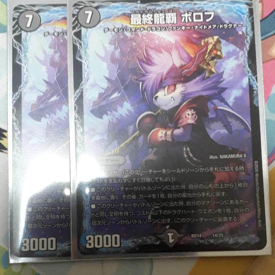 Final Dragon Heights Borov 14/25