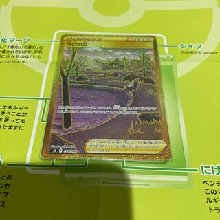 Pocketka Large Mouth Swamp UR