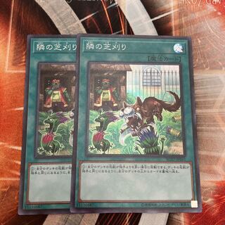 隣の芝刈り スーパーレア  2枚　