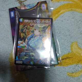 Meteor Gaiach Kaiser SR 21/138