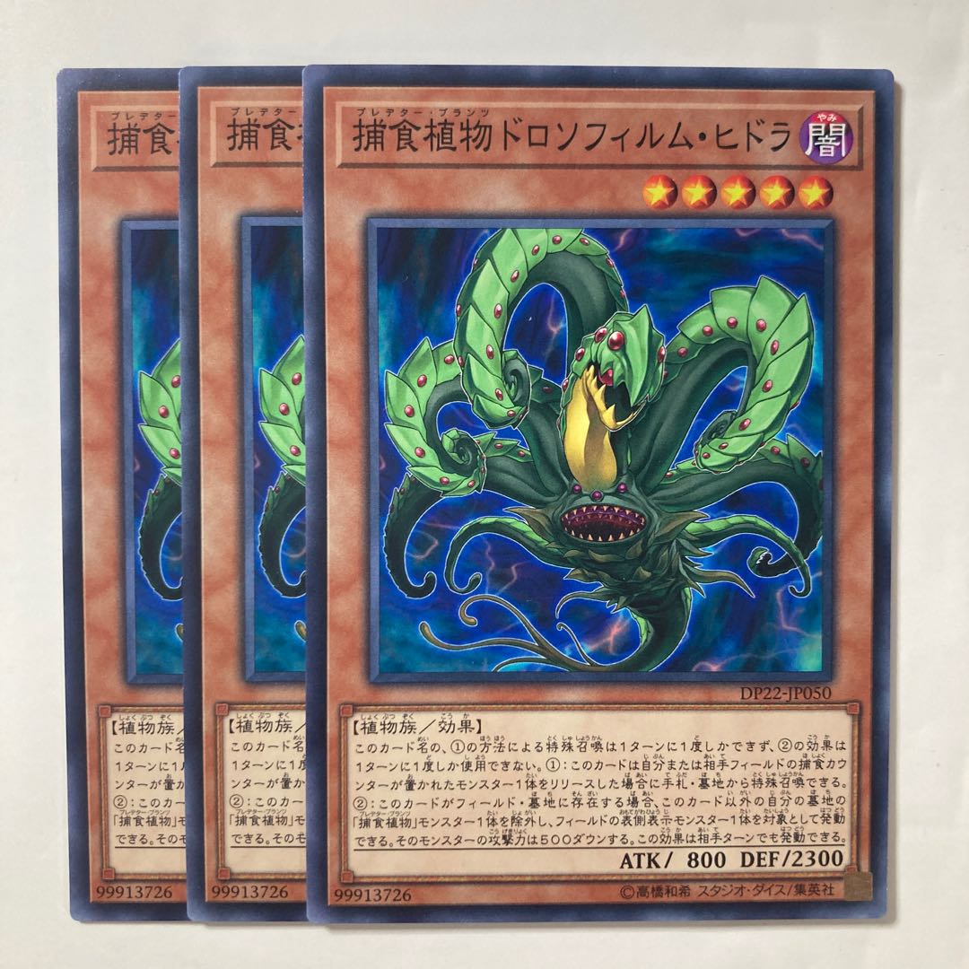 6927 Predaplant Drosophyllum Hydra $166