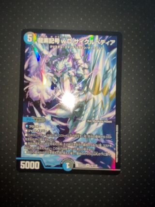 龍素記号wD サイクルペディア SR 18/130