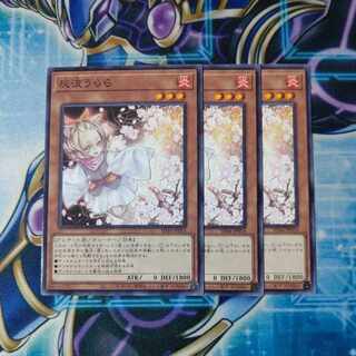 Ash Blossom & Joyous Spring Normal JP014 Set of 3