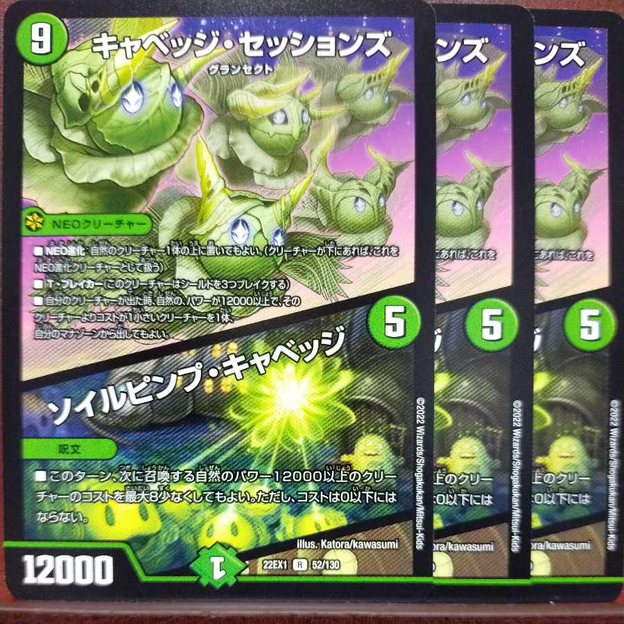 2022セット割引　キャベッジ・セッションズ｜ソイルピンプ・キャベッジ R 52/130