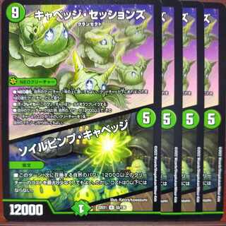 2022セット割引　キャベッジ・セッションズ｜ソイルピンプ・キャベッジ R 52/130