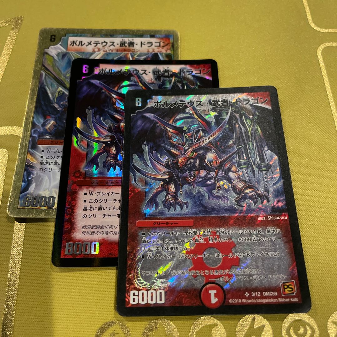 Bormetheus, warrior, dragon SR 3/12