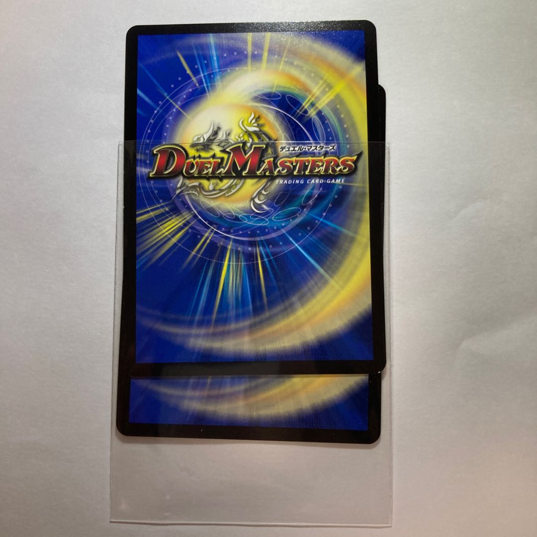 Ryusei Sosha "B-Ga" Liza SR 13/130 2 pieces